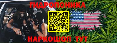 индика Краснознаменск
