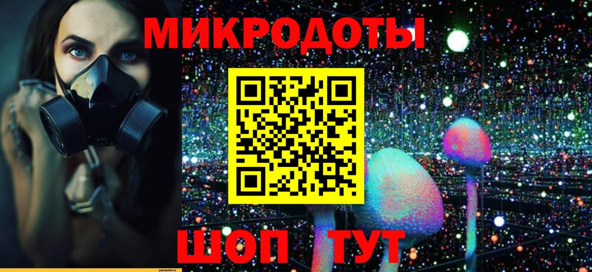 Галлюциногенные грибы GOLDEN TEACHER  Галлюциногенные грибы Psilocybe  Вход с VPN  Кемерово 