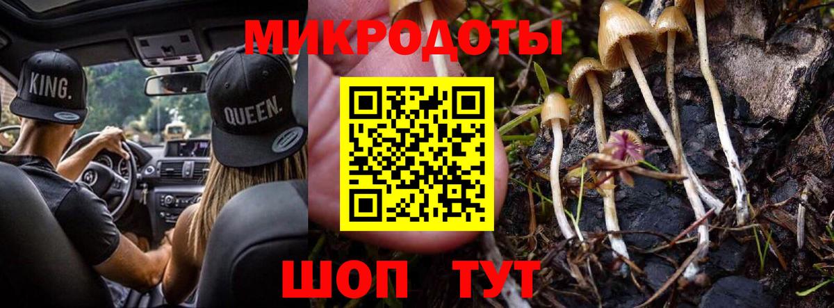 Галлюциногенные грибы GOLDEN TEACHER Кемерово